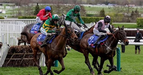 cheltenham live results